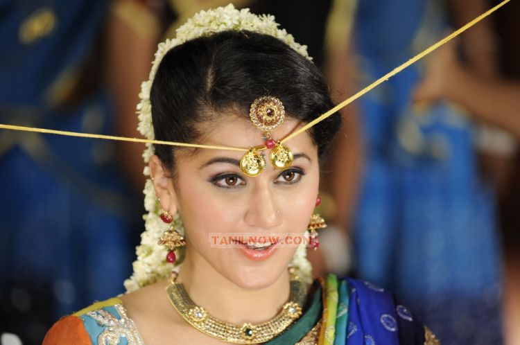 Tapsee Pannu 2913