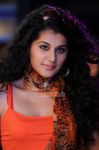 Tapsee Pannu 4197