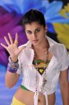 Tapsee Pannu 4624