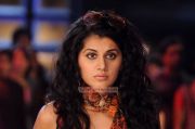 Tapsee Pannu 5942
