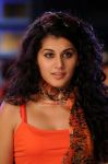 Tapsee Pannu 6728