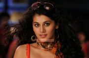 Tapsee Pannu 8915