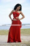 Tapsee Pannu Hot Stills 9