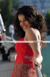 Tapsee Pannu Latest Pic 4
