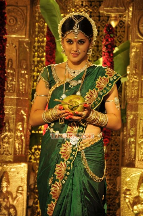 Tapsee Pannu Photos 1730