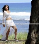 Tapsee Pannu Pics 11