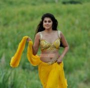 Tapsee Pannu Stills 4940