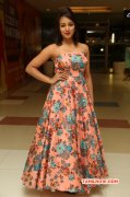 Indian Actress Tejaswi Madivada Recent Wallpapers 9132