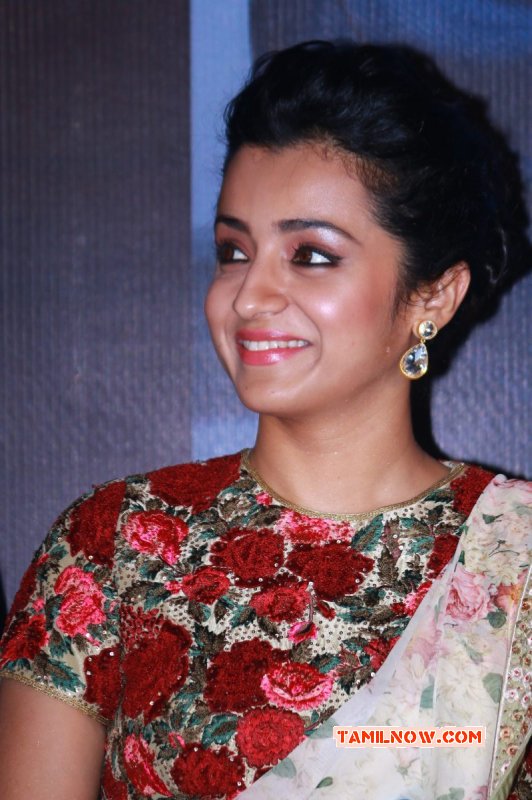 2015 Image Trisha Krishnan Film Actress 4772