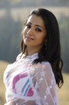 Actress Trisha Krishnan 5643