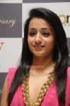 Actress Trisha Krishnan 6071