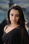 Actress Trisha Krishnan Stills 6903