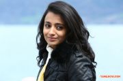 Actress Trisha Krishnan Stills 7194