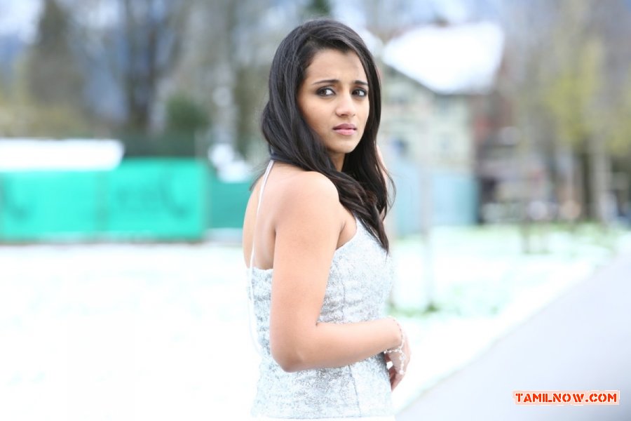 Actress Trisha Krishnan Stills 9528