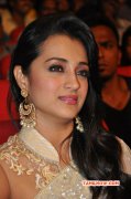 Cinema Actress Trisha Krishnan Latest Photos 559