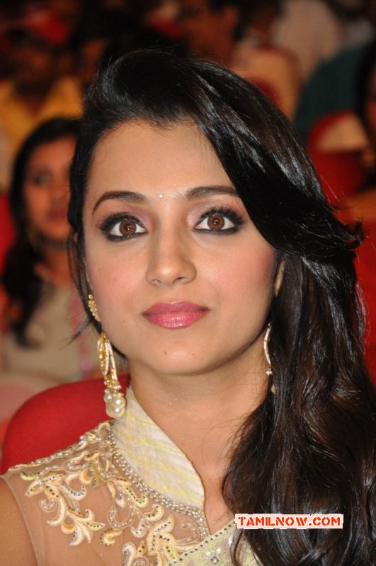 Heroine Trisha Krishnan 2015 Wallpapers 5410