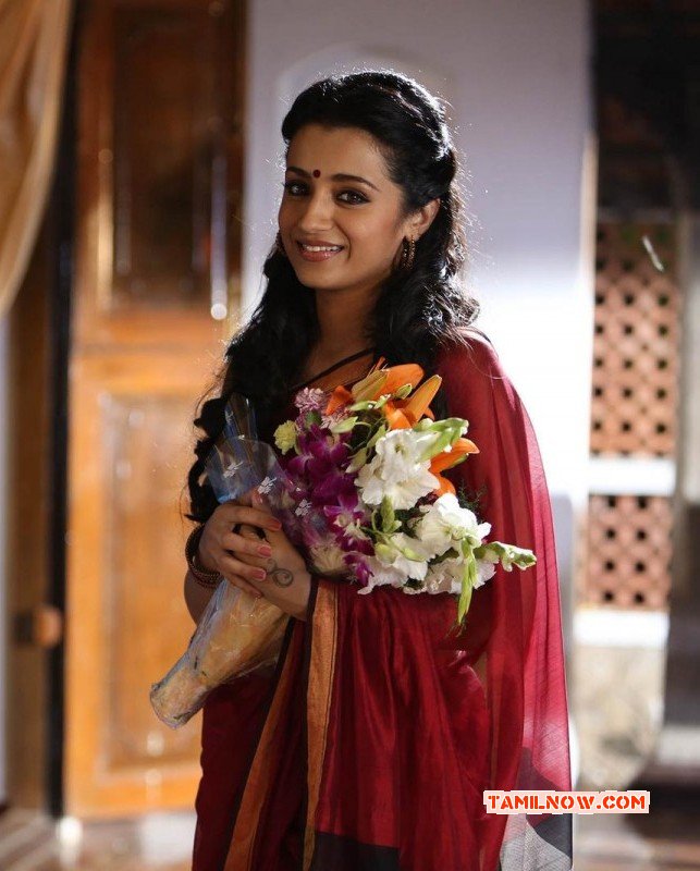 Indian Actress Trisha Krishnan May 2015 Wallpapers 6342