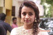 Jun 2017 Stills South Actress Trisha Krishnan 2925