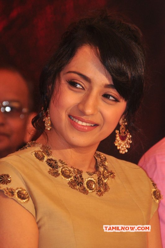 Latest Gallery Movie Actress Trisha Krishnan 5988