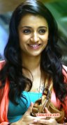 Movie Actress Trisha Krishnan Wallpapers 8489