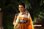 New Albums Film Actress Trisha Krishnan 1710