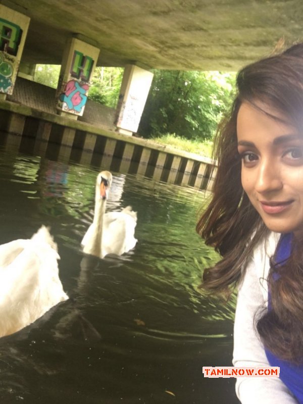 New Images Tamil Heroine Trisha Krishnan 3372