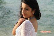 New Photo Trisha Hot 724