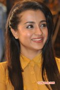 New Wallpaper Trisha Krishnan Film Actress 1678