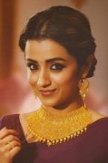 Pic Trisha Krishnan Indian Actress 9436