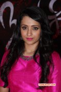 Recent Album Trisha Krishnan Cinema Actress 1986