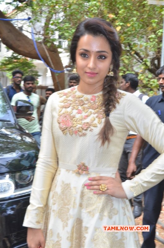 Recent Pictures Trisha Krishnan Cinema Actress 6348