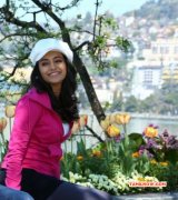 Recent Pictures Trisha Krishnan South Actress 2733