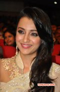 Recent Wallpapers Film Actress Trisha Krishnan 579