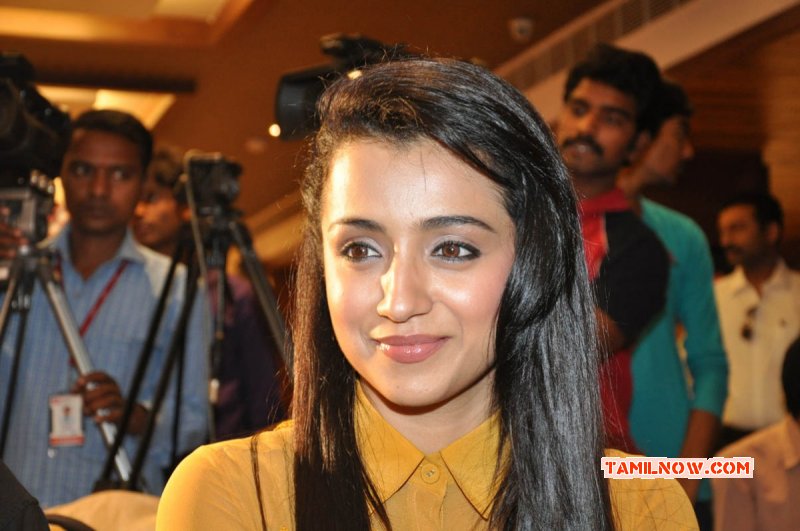 Stills Film Actress Trisha Krishnan 2049