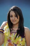 Tamil Actress Trisha Krishnan 1161