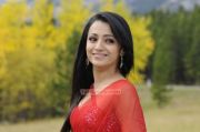 Tamil Actress Trisha Krishnan 4008