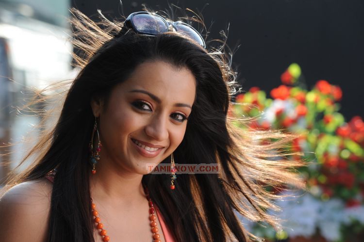 Tamil Actress Trisha Krishnan 8560