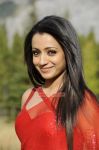 Tamil Actress Trisha Krishnan 9509