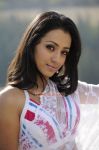Tamil Actress Trisha Krishnan 9583