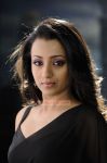 Tamil Actress Trisha Krishnan Photos 4288