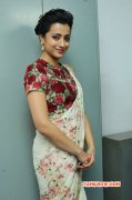 Tamil Heroine Trisha Krishnan Recent Album 9846