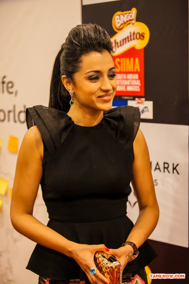 Trisha Krishnan 3345