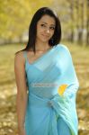 Trisha Krishnan 3382