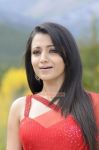 Trisha Krishnan 3447