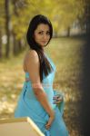 Trisha Krishnan 4898