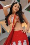 Trisha Krishnan 5189