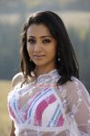 Trisha Krishnan 7318