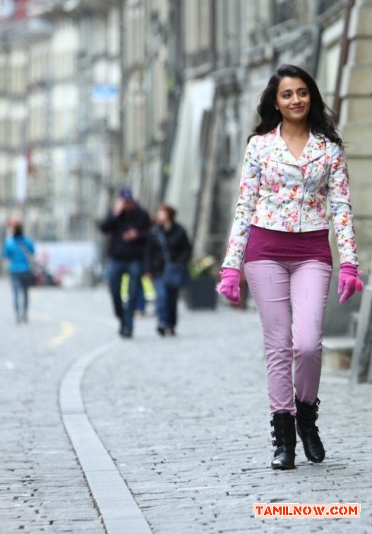 Trisha Krishnan 8439