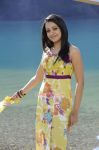 Trisha Krishnan 8945