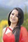 Trisha Krishnan 9271